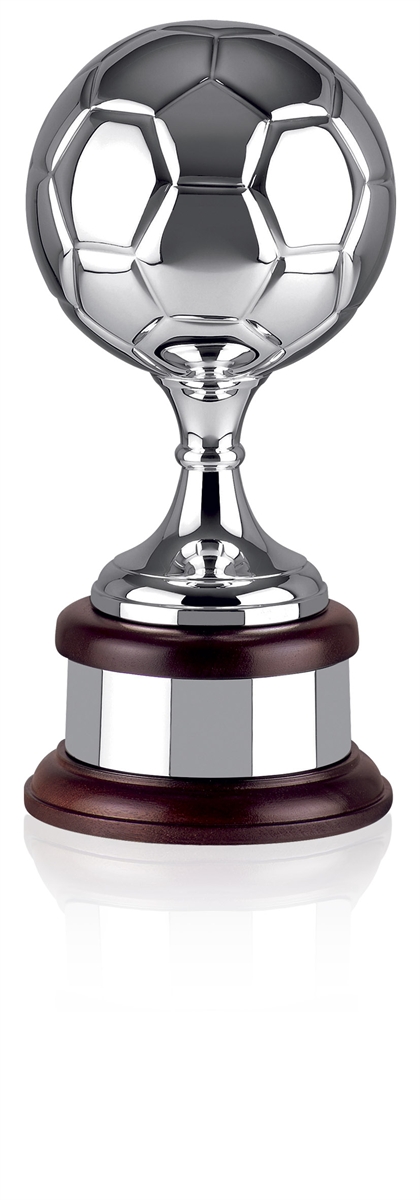 Silver Plated Trophy