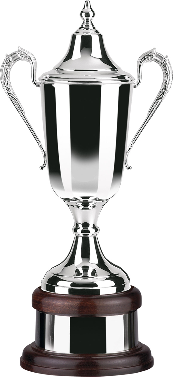 Silver Plated Trophy