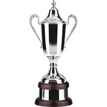 Silver Plated Trophy
