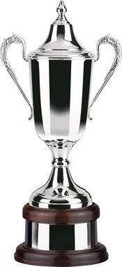 Silver Plated Trophy