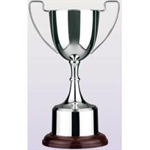 Silver Plated Trophy