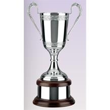 Silver Plated Trophy