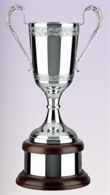 Silver Plated Trophy