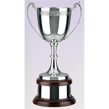 Silver Plated Trophy