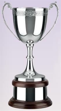 Silver Plated Trophy