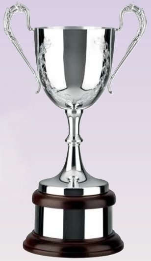Silver Plated Trophy