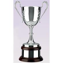 Silver Plated Trophy