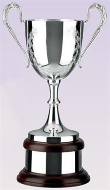 Silver Plated Trophy