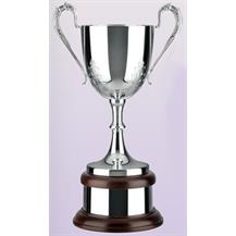 Silver Plated Trophy