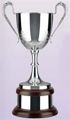 Silver Plated Trophy
