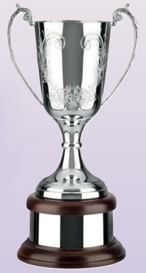 Silver Plated Trophy