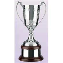Silver Plated Trophy