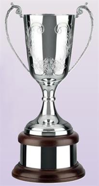 Silver Plated Trophy