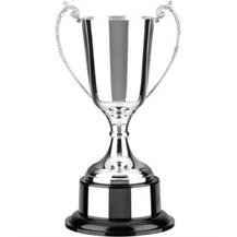 Silver Plated Trophy Cup