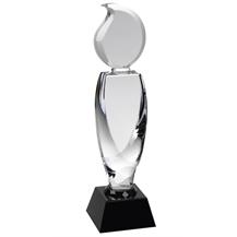 AC148 Crafted Optical Crystal Award