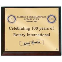 12in x 9in Solid Brass Wall Plaque