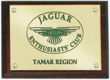 4.5in x 3.5in Solid Brass Wall Plaque