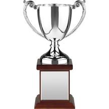 Endurance Nickel Plated Cup Mounted on Large Wooden Base