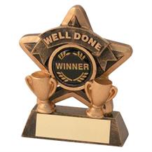 JR44-RF402 Bronze/Gold Well Done Mini Star Trophy