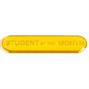 SB024Y BarBadge Student Of The Month thumbnail