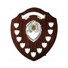 11 Mini Shields SV14