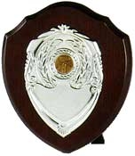 Traditional Solo Shield with Veneer Finish