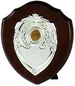 Traditional Solo Shield with Veneer Finish
