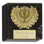 GM10 Galaxy Marble Gold Trim Award thumbnail