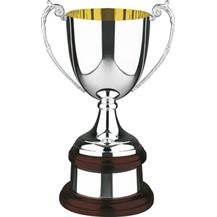 Heavy Deposit Silver Plated Cup