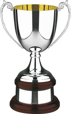 Heavy Deposit Silver Plated Cup