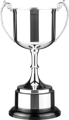Great Value Silverware Cup