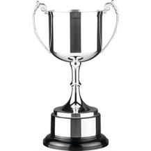 Great Value Silverware Cup