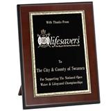 Corporate Plaques