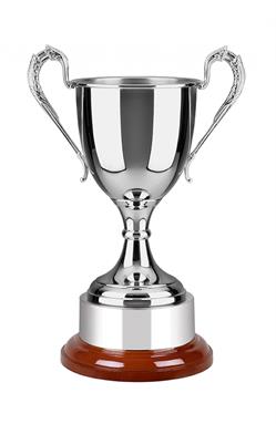 SNW12 Nickel Trophy