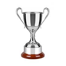 SNW12 Nickel Trophy
