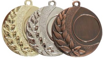 D28H 45mm Gold Medal