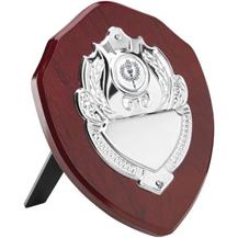 JR39-TRS4 Solo Shield 4 inch