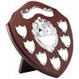 JR39-TRS9_wooden_shield thumbnail