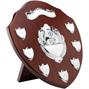 JR39-TRS11_7_Mini_Shield thumbnail