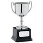 Classic Trophy Cup thumbnail