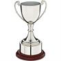 NC2G Nickel Trophy thumbnail