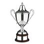 39-L101A, L101B, L101C Silver plated Trophy thumbnail
