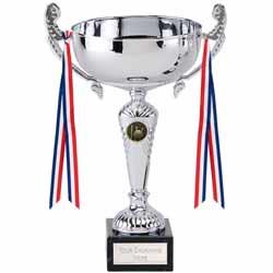 521219-Cricket-Trophy