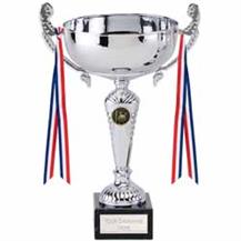 521219-Cricket-Trophy