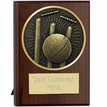 522219-Cricket-Trophy