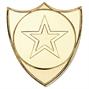 BDG4G-School-Badges thumbnail