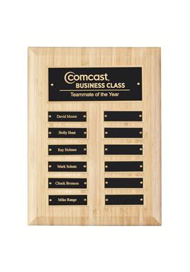 WP11 Perpetual Plaque 12 x 9 inch