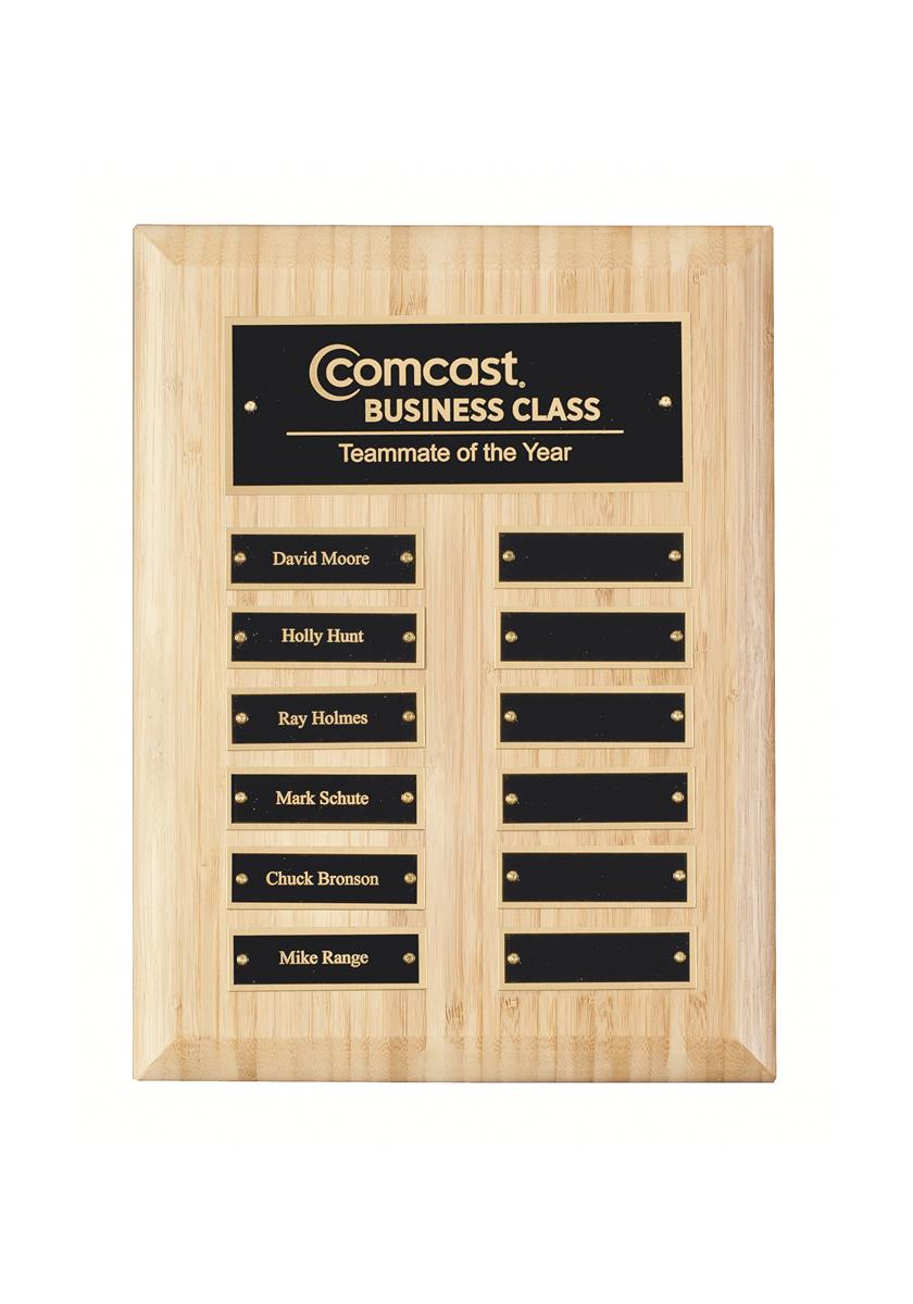 WP11 Perpetual Plaque 12 x 9 inch