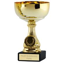 551C Gold Trophy Cup