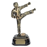 Karate Trophies